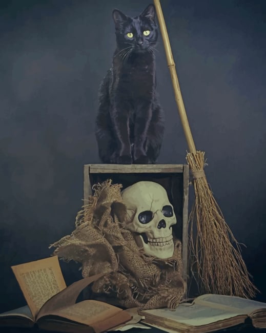 

Black Cat And Skull – Paint By Numbers - 40*50CM, 501 Original