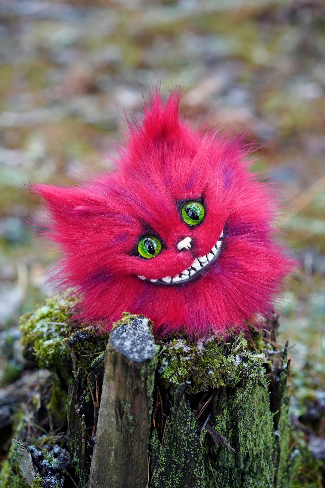 Cheshire head