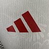 2024/2025 Player Version Algeria National Team Home Football Jersey 1:1 Thai Quality