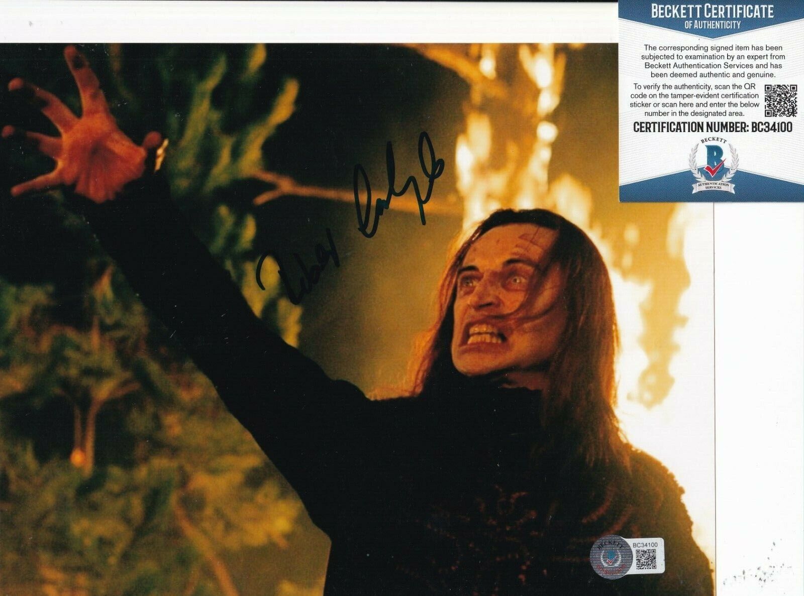 ROBERT CARLYLE signed (ERAGON) Durza Movie 8X10 Photo Poster painting BECKETT BAS BC34100