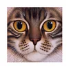 >SALE<5D DIY Diamond Painting Kits Full Round Drill Big Face Cat Mosaic (X637)