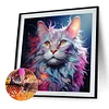 Colorful Cats 40*40cm(picture) full square drill diamond painting 4 to 12  colors of AB drills