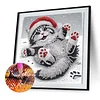 Diamond Painting - Partial Special Shaped Drill - Winter Cat(Canvas|30*30cm)