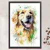 (Stamped/Counted) Golden Retriever-11CT Cross Stitch 40*60cm(Big Size)