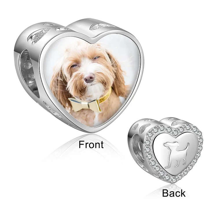 Heart Photo Charm Bracelet with 1 Charm Love Your Pets