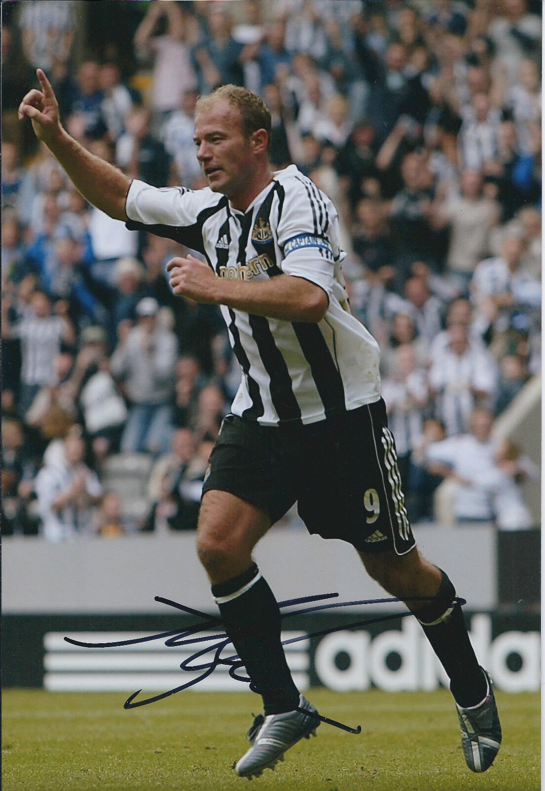 Alan SHEARER Signed Autograph 12x8 Photo Poster painting AFTAL COA Newcastle United Magpies RARE