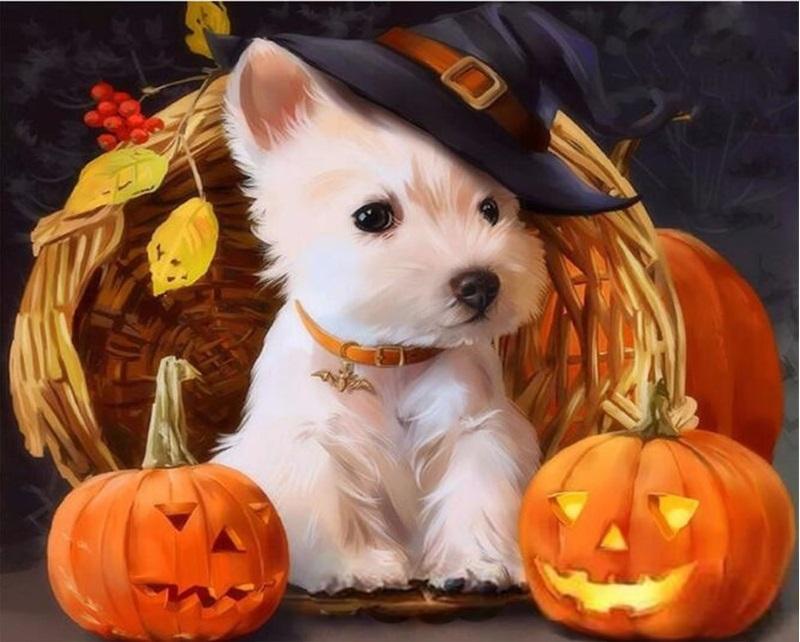 

Halloween Dog – Paint By Numbers - 40*50CM, 501 Original