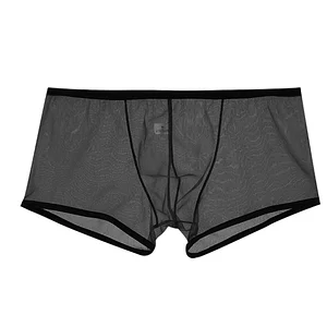 Ultra-thin U Convex Pouch Mesh Transparent Sexy Panties