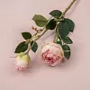 Autumn Vibe 2 Heads Burn Edge Stem Rose Artificial Flower