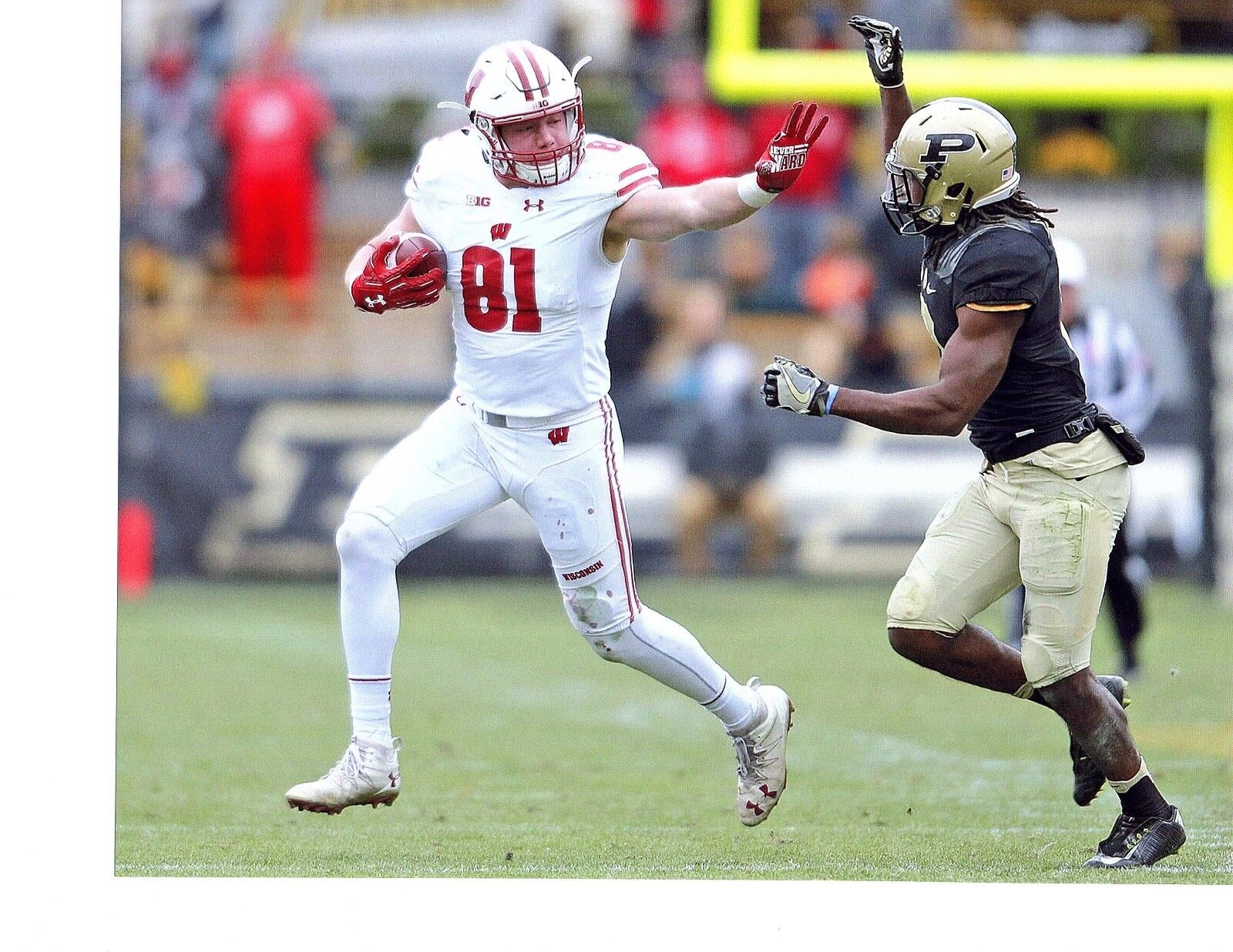 Troy Fumagalli Wisconsin Badgers unsigned 8x10 football Photo Poster paintings & rookie card