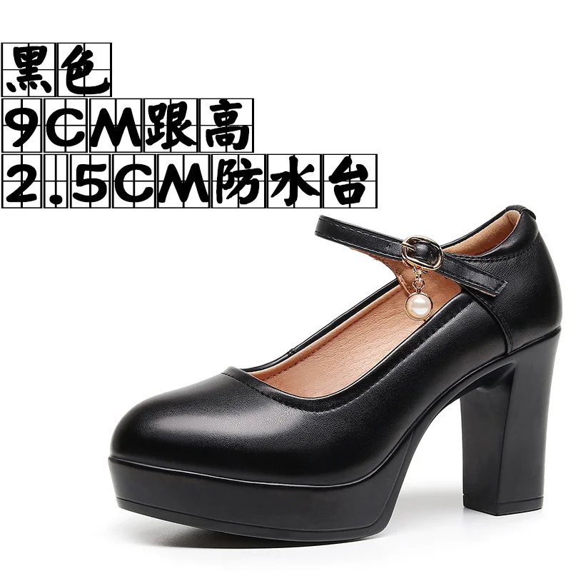 Breakj Breakj 6Cm Silver Heeled Show Shoes Thick-Singing Leather Shoes Thick-Soled Model Single-Shoe Large-Size Working Shoes