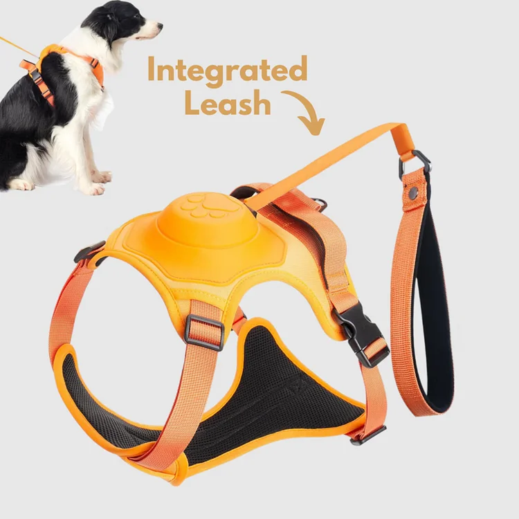 3 in 1 Dog Harness with Built-In Leash