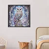 DIY Partial Special Shaped Drill Diamond Painting-Owl