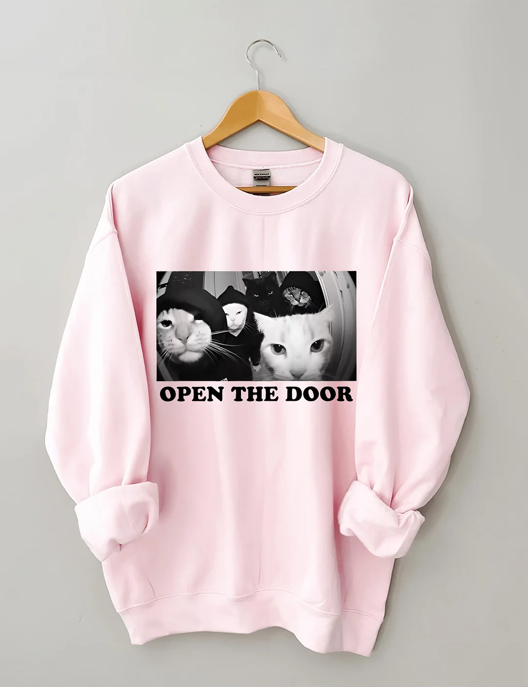 Funny Cat Sweatshirt