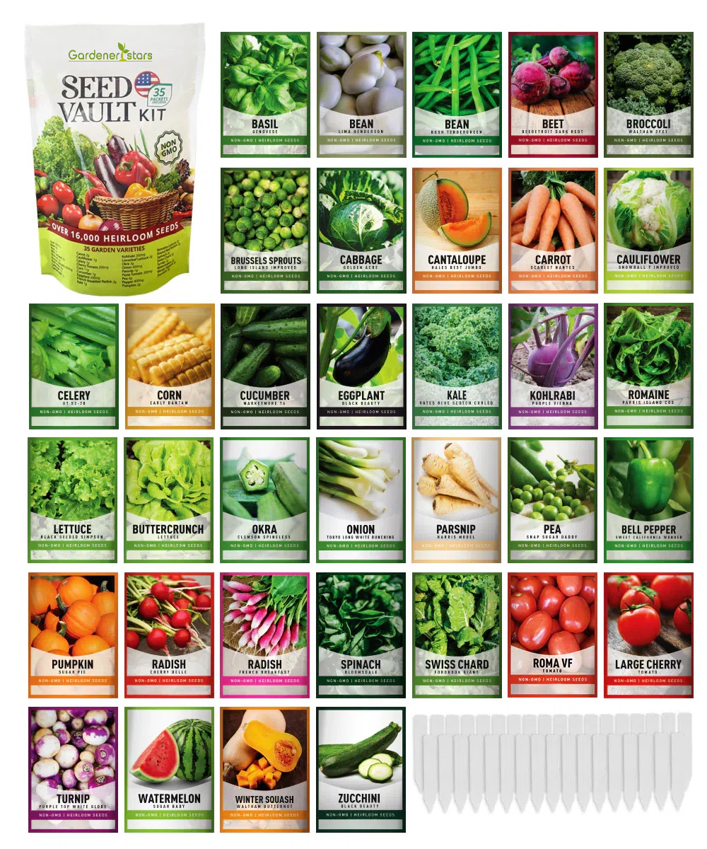 Vegetable Seed Vault Kit | 35 Variety Pack