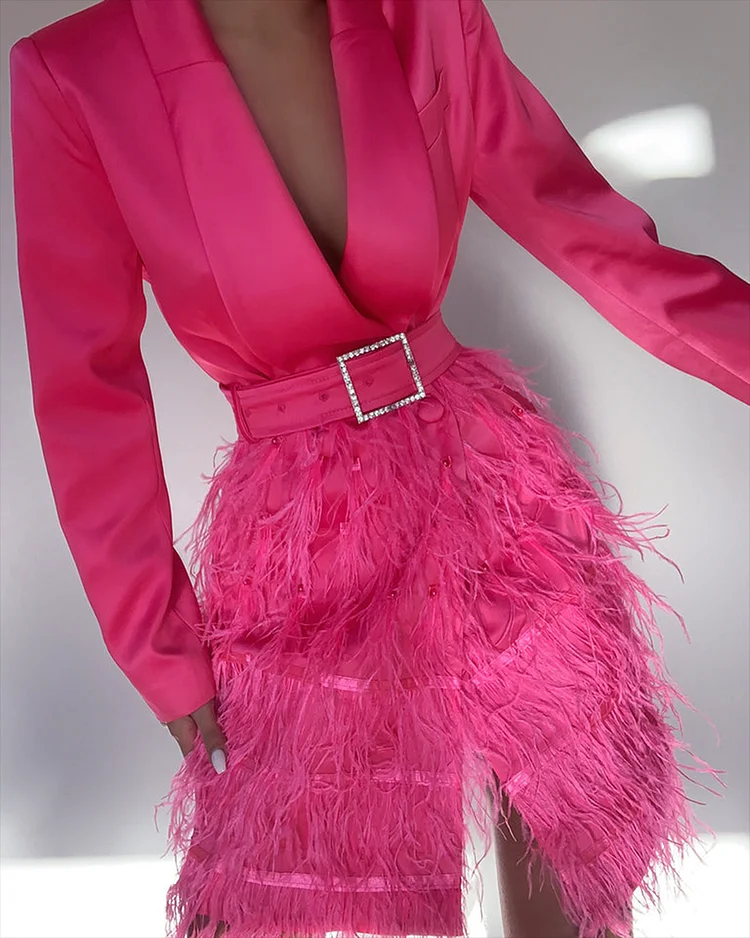 Women's Lapel Long Sleeve Feather Dress