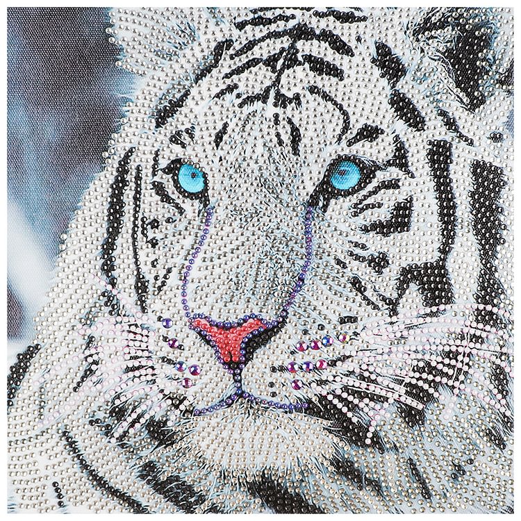 30*30cm Tiger  Special Shape Diamond Painting Set Craft