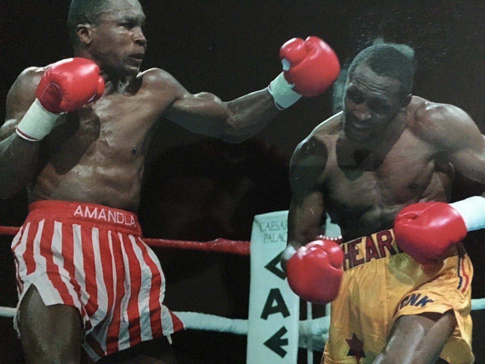 THOMAS HEARNS - FORMER WORLD CHAMPION - EXCELLENT UNSIGNED ACTION Photo Poster paintingGRAPH