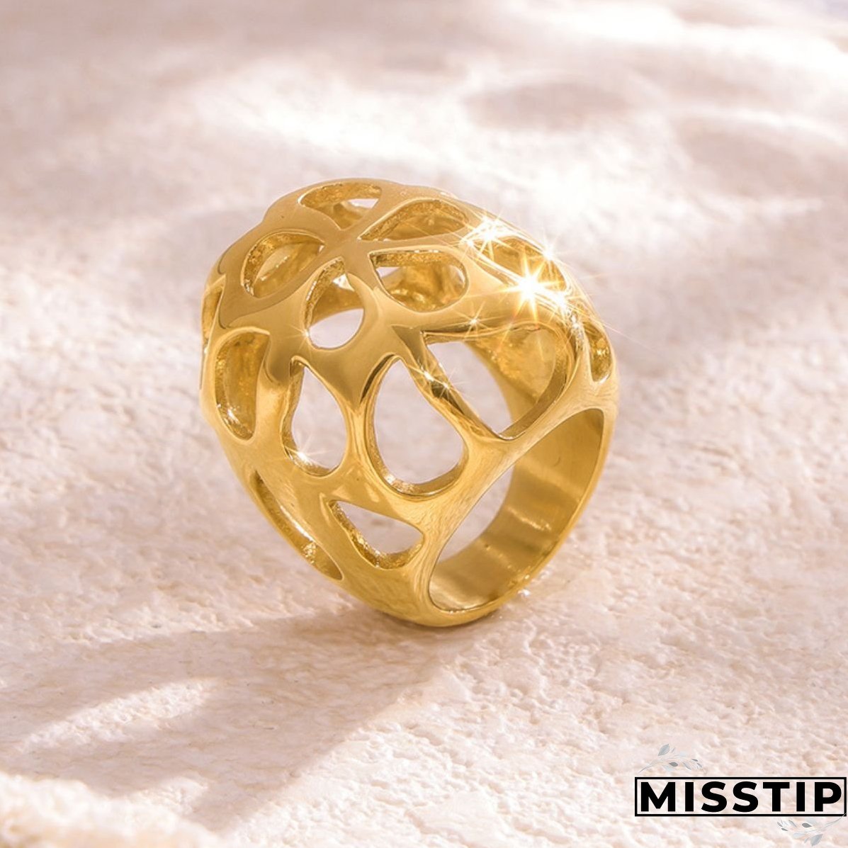 Stainless Steel Cutout Ring