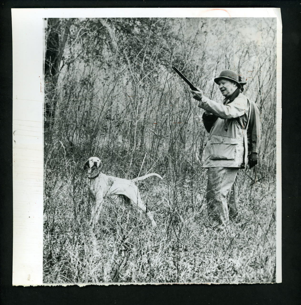 President Dwight Eisenhower hunting with pointer dog 1961 Press Photo Poster painting