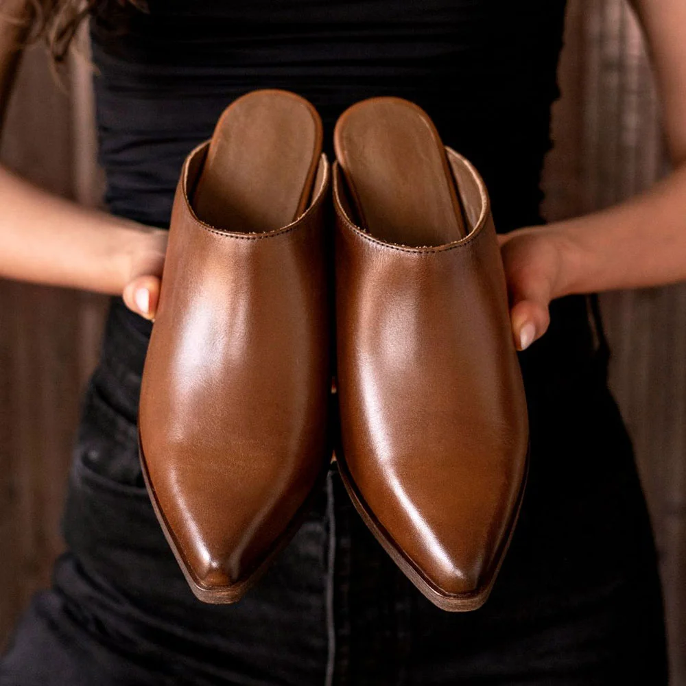 Slip-On Pointed Toe Chunky Heel Women's Mules Shoes in Brown