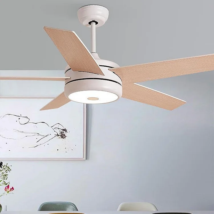 5 Blades Nordic Ceiling Fans with Lights and Remote Ceiling Fan Lamp - Appledas