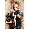 Bruce Springsteen - Vintage Metal Signs - 20*30cm/30*40cm - Music