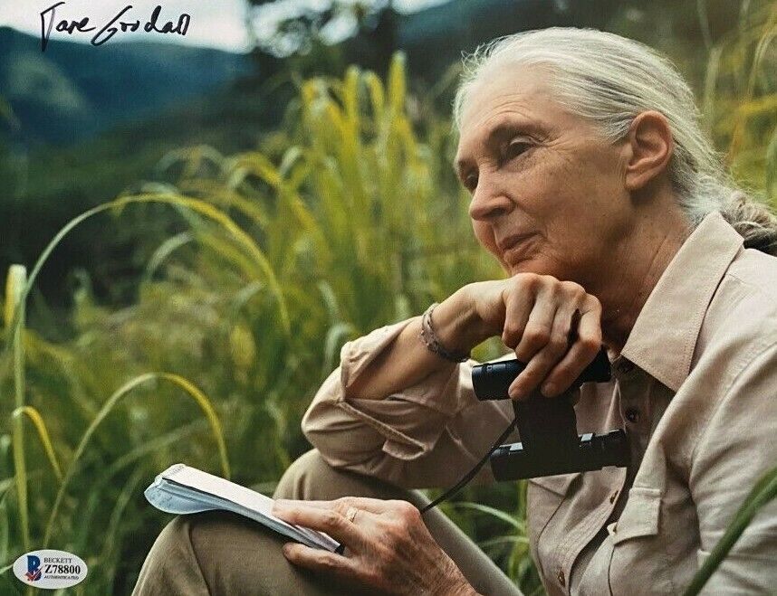 Jane Goodall signed autographed 8x10 Photo Poster painting Beckett Authenticated COA