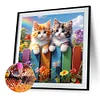 Cat - Full Round Drill Diamond Painting