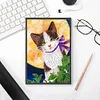 50 Pages A5 DIY Special Shaped Diamond Painting Diary Notebook Kit (Cat Under the Moon)