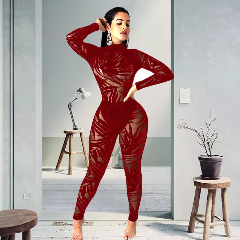 Women Sexy Mesh Hollow Long-sleeved Tight Jumpsuit