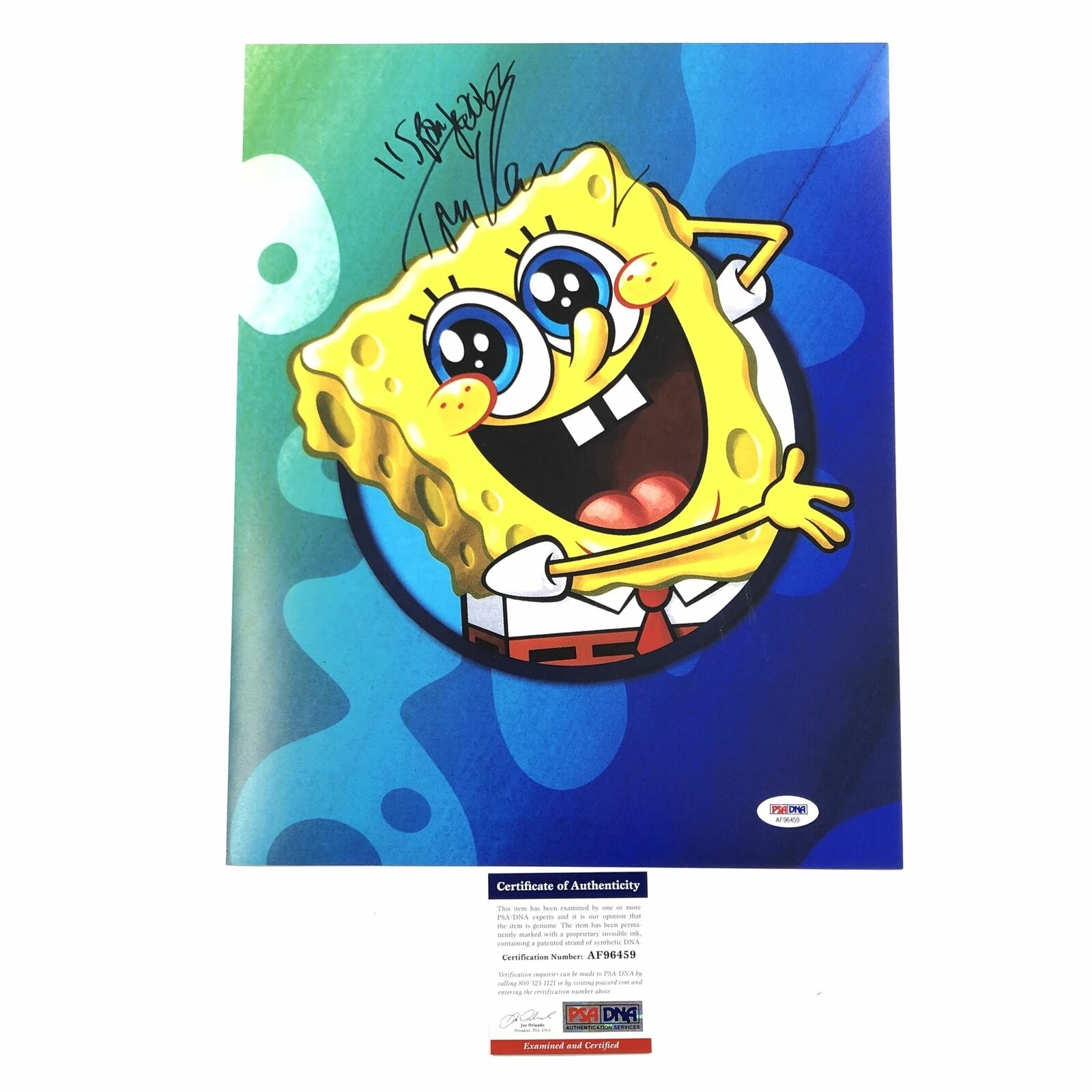 Tom Kenny signed 11x14 Photo Poster painting PSA/DNA Autographed Spongebob