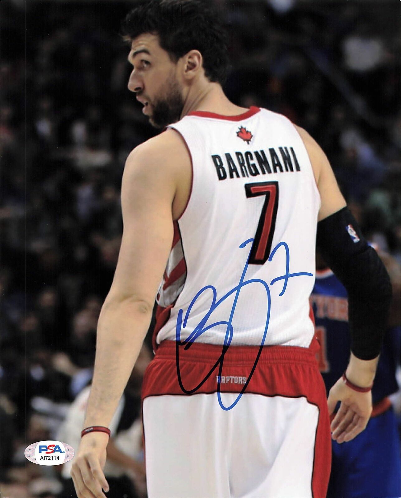 ANDREA BARGNANI signed 8x10 Photo Poster painting PSA/DNA Toronto Raptors Autographed