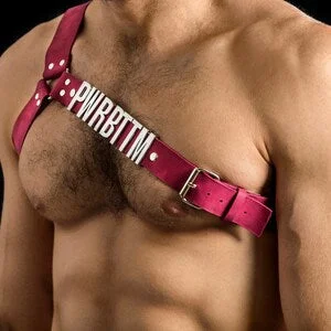 pornhint Pornhint Pink Leather Harness for men Y  shape - Lingo