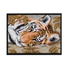 (Counted/Stamped) 14CT Tiger Lying Down - Cross Stitch 29*21cm/11.42*8.27in(Brand)