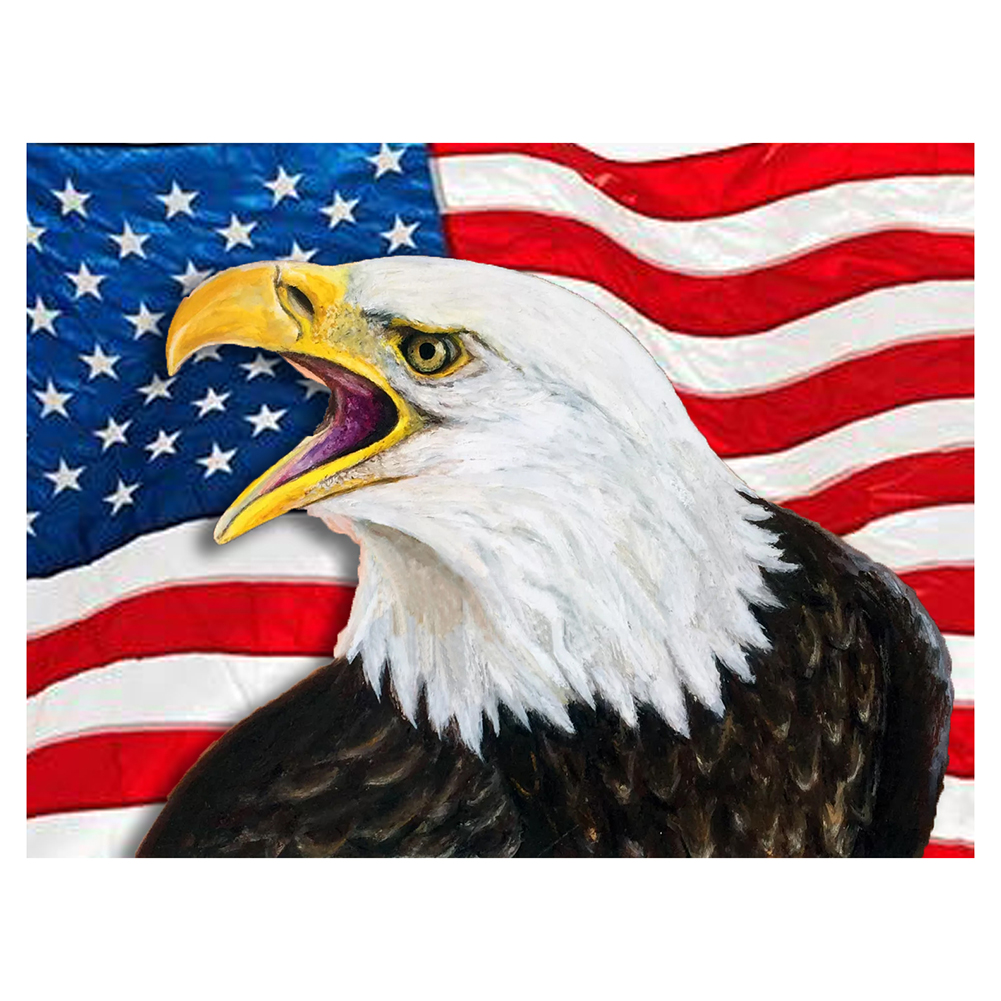 

Eagle US Flag - 11CT Stamped Cross Stitch - 36*46CM, 501 Original