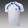 2025/2026 Bayern Munich pre-match training Grey Shirt+Shorts 1:1 Thai Quality