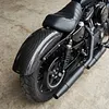 [US Local Warehouse] Fit For Harley 2004-2024 Sportster 883 1200 Carbon Fiber Rear Fender 25 Inch