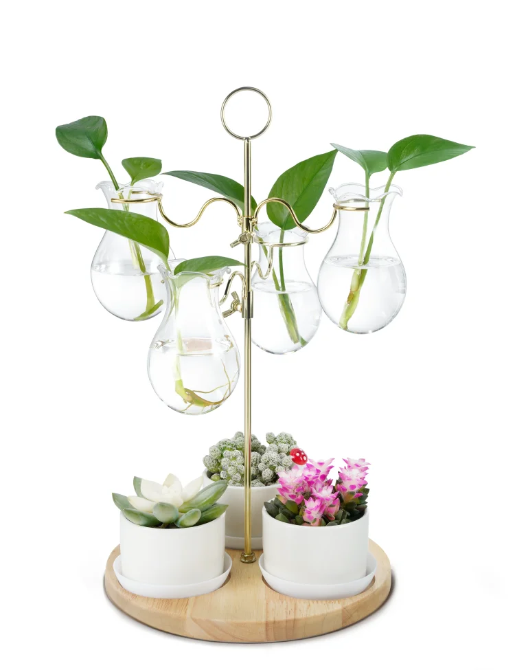 2 in 1 Plant Propagation Station with Succulent Pots, Unique 2 Tier Tower Design, 4 Hydroponic Glass Vases & 3 Ceramics Succulent Planters, Garden Gift for Plant Lover, Home Office Decor