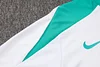 Joyfball 2024/2025 Portugal Half-Pull Training Suit White Football Shirt