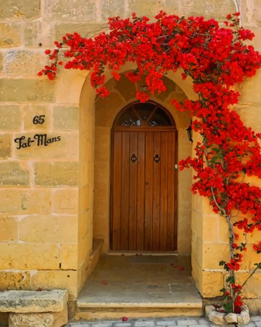 

Brown Door With Red Flowers – Paint By Numbers - 40*50CM, 501 Original