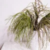Artificial Greenery Forage Grass Air Plant