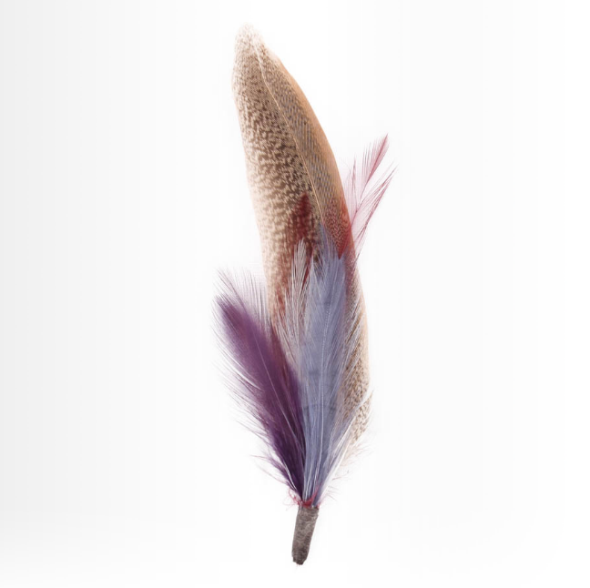 Hat Feather Duo B