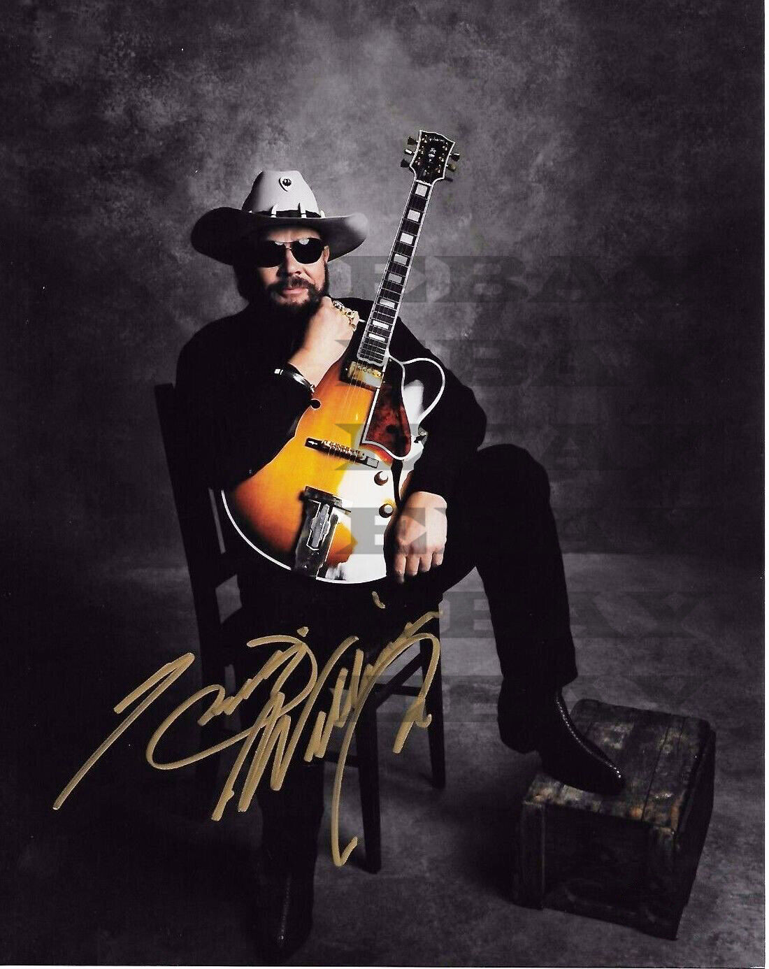 HANK WILLIAMS JR. signed 8x10 Photo Poster painting Reprint