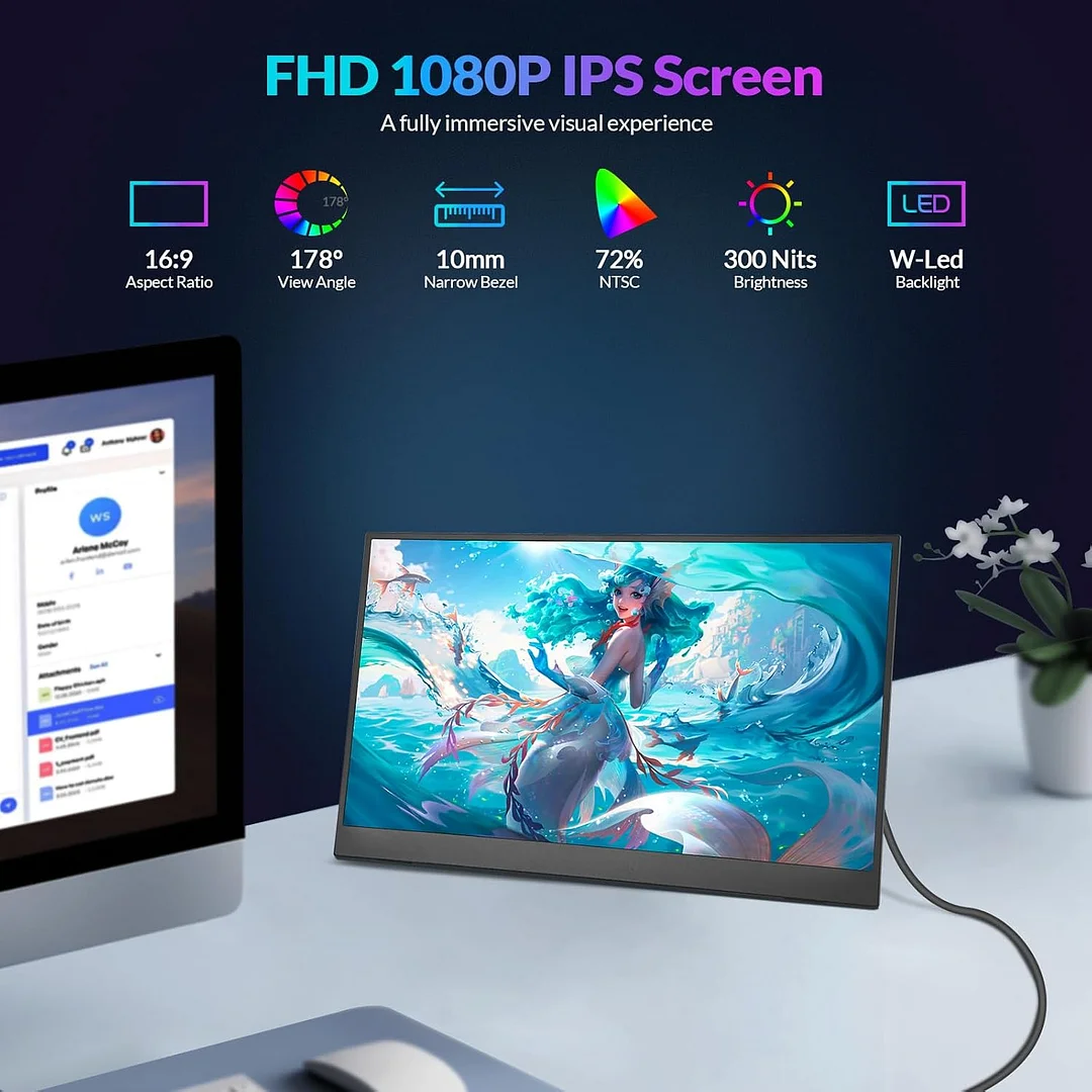 Rii Portable Monitor