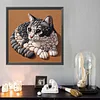 Diamond Painting -DIY Round Drill Stone Art Black Cat(40x40cm)