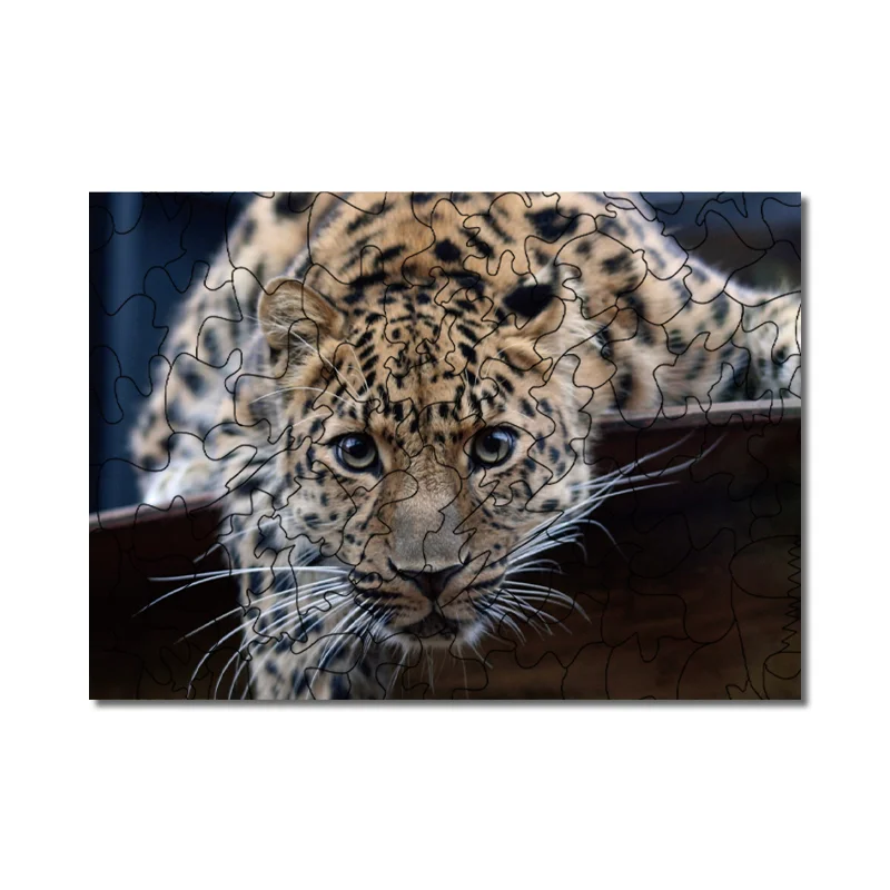 Jeffpuzzle™-JEFFPUZZLE™ Cute Leopard  Puzzle