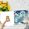 12pcs Diamond Painting Owl Greeting Card Set with Envelope Daily Wishing Cards for Birthdays Thanksgiving & Special Occasion