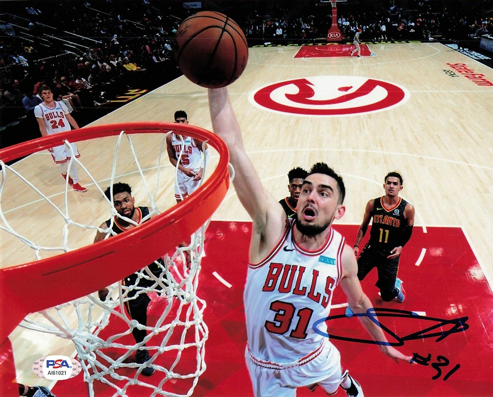 Tomas Satoransky signed 8x10 Photo Poster painting PSA/DNA Chicago Bulls Autographed