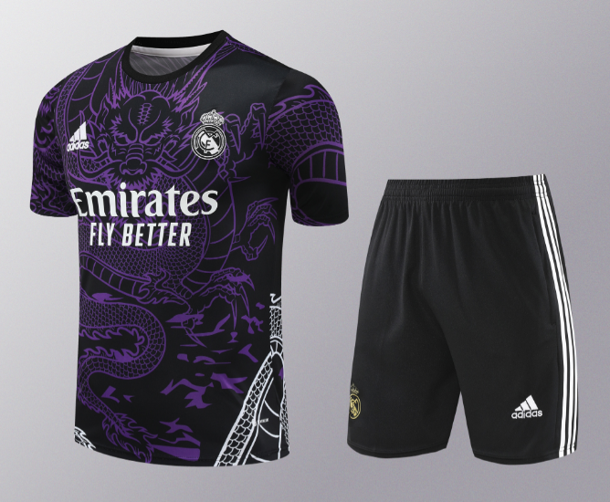 24/25 Real Madrid Training Kit Short Sleeve Purple Football Shirt Thai Quality
